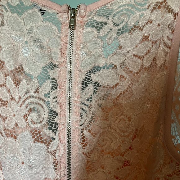 Lace Formal Mini Dress - Blush (Size Medium/6-8) - Picture 4 of 7